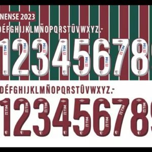 FLUMINENSE