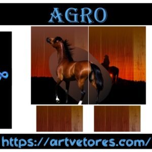 AGRO 11